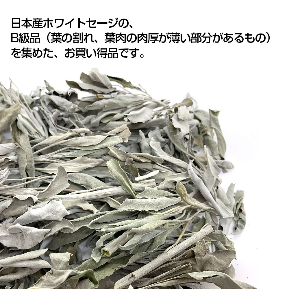 日本産ホワイトセージ B級品（枝・葉・クラスター入り）30g ×２袋セット 浄化用 - LIANA - Hapima!（ハピマ） ハッピーマーケット
