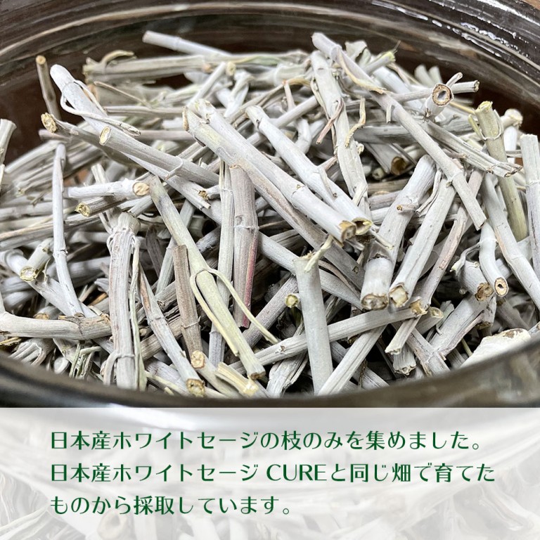 日本産ホワイトセージ 枝のみ 約20g 浄化用 - LIANA - Hapima!（ハピマ） ハッピーマーケット