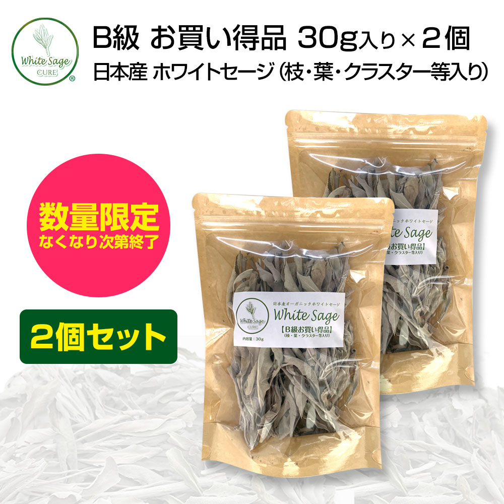 日本産ホワイトセージ B級品（枝・葉・クラスター入り）30g ×２袋