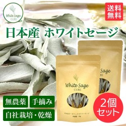 日本産 ホワイトセージ 枝付き 約10g×2個 Japanese white sage 浄化用