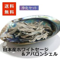 浄化セット12 [無農薬・限定数]日本産 ホワイトセージ と 天然貝アバロンシェル